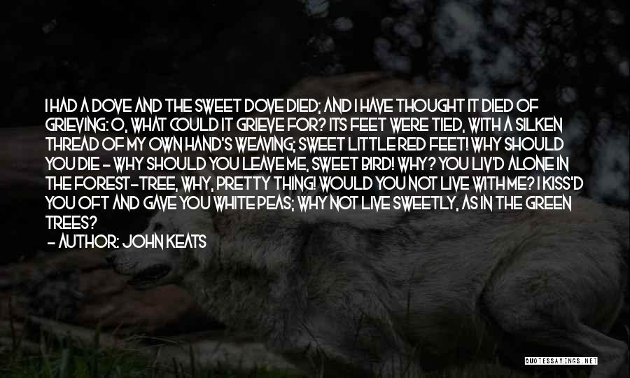 John Keats Quotes: I Had A Dove And The Sweet Dove Died; And I Have Thought It Died Of Grieving: O, What Could