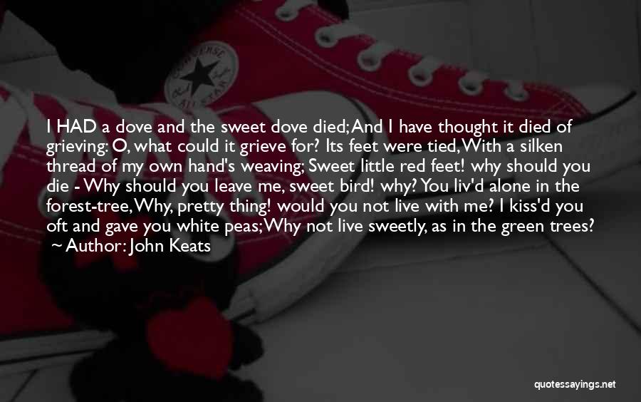 John Keats Quotes: I Had A Dove And The Sweet Dove Died; And I Have Thought It Died Of Grieving: O, What Could