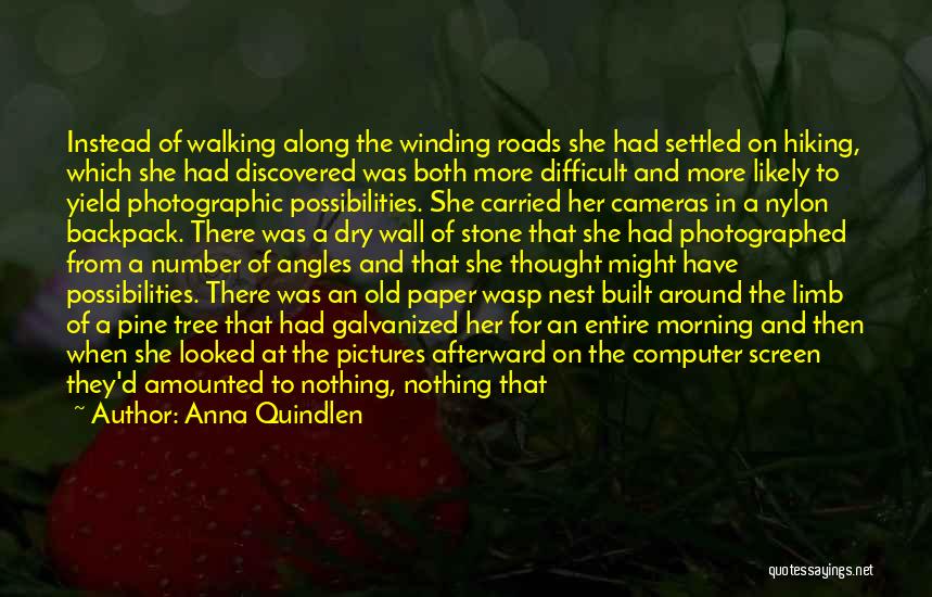 Anna Quindlen Quotes: Instead Of Walking Along The Winding Roads She Had Settled On Hiking, Which She Had Discovered Was Both More Difficult