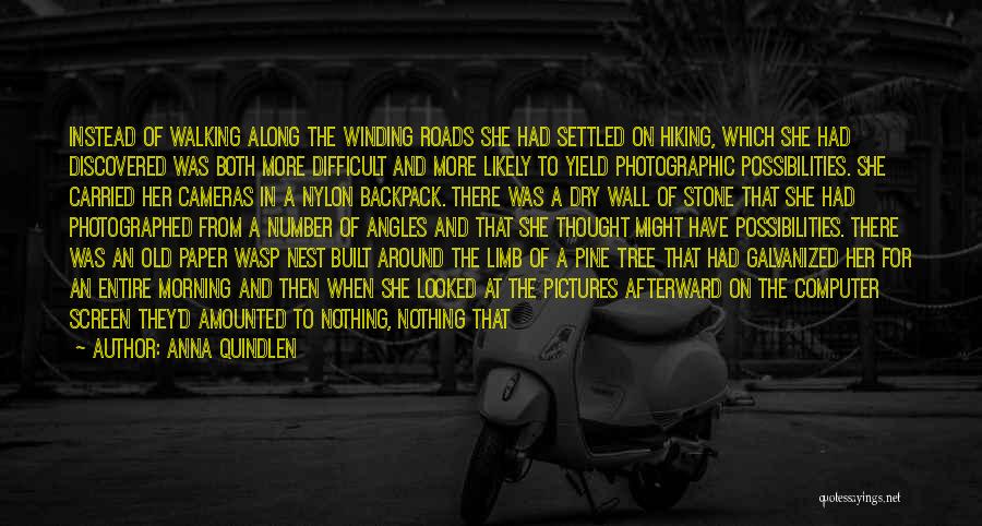 Anna Quindlen Quotes: Instead Of Walking Along The Winding Roads She Had Settled On Hiking, Which She Had Discovered Was Both More Difficult