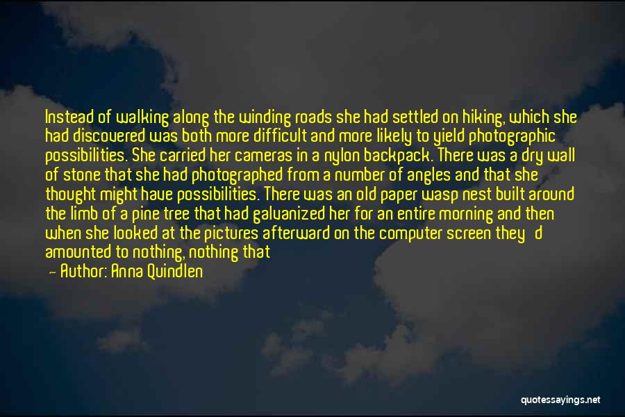 Anna Quindlen Quotes: Instead Of Walking Along The Winding Roads She Had Settled On Hiking, Which She Had Discovered Was Both More Difficult