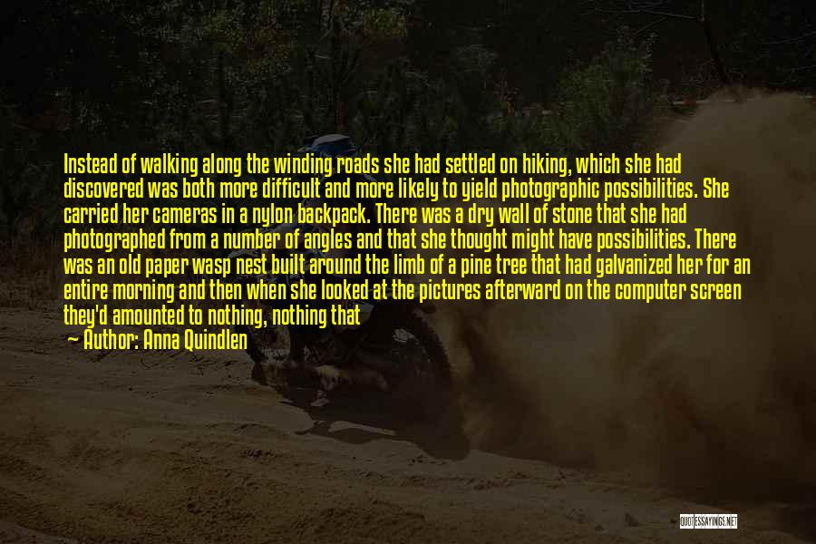 Anna Quindlen Quotes: Instead Of Walking Along The Winding Roads She Had Settled On Hiking, Which She Had Discovered Was Both More Difficult