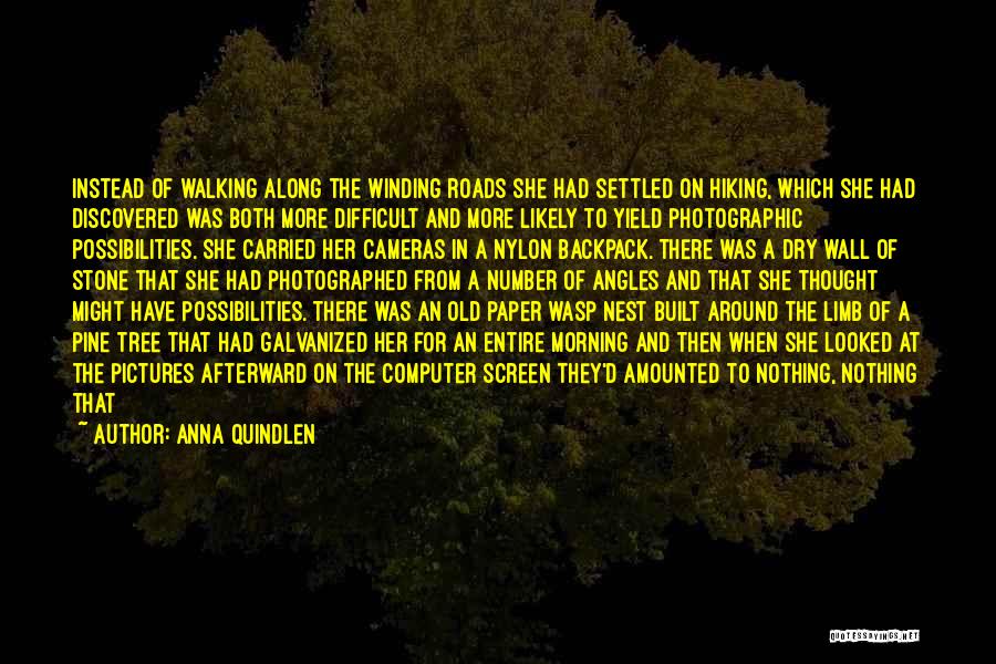 Anna Quindlen Quotes: Instead Of Walking Along The Winding Roads She Had Settled On Hiking, Which She Had Discovered Was Both More Difficult