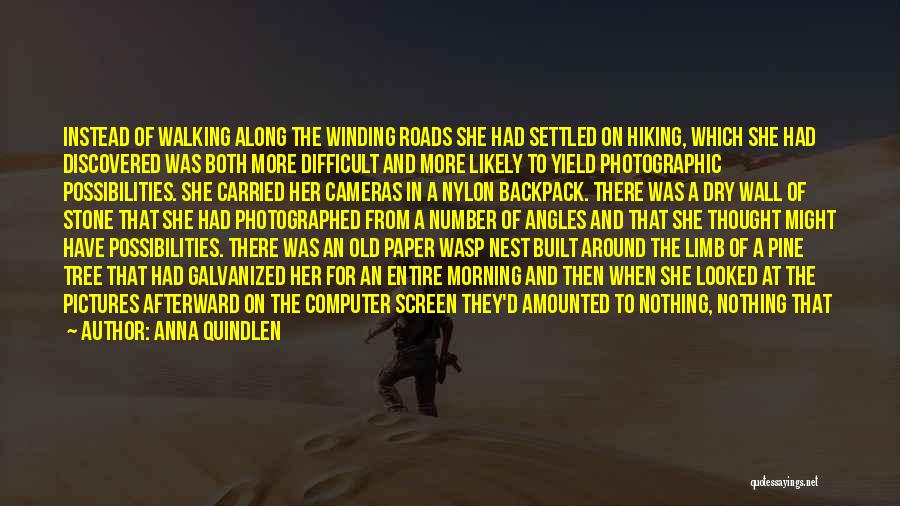 Anna Quindlen Quotes: Instead Of Walking Along The Winding Roads She Had Settled On Hiking, Which She Had Discovered Was Both More Difficult