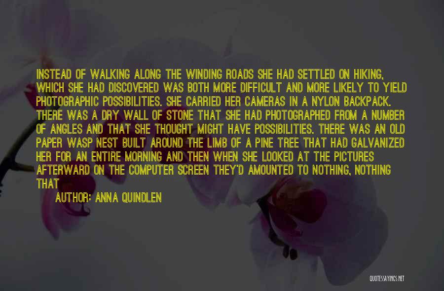 Anna Quindlen Quotes: Instead Of Walking Along The Winding Roads She Had Settled On Hiking, Which She Had Discovered Was Both More Difficult