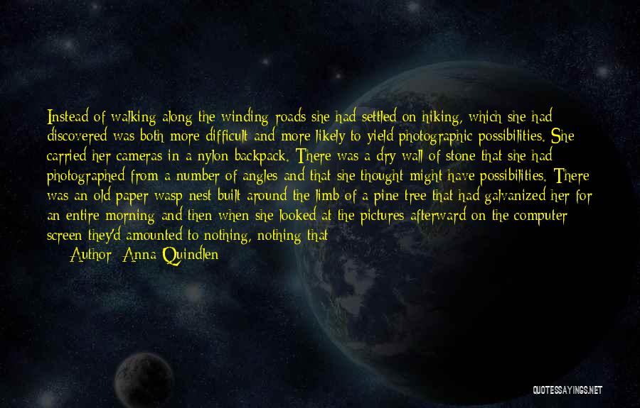 Anna Quindlen Quotes: Instead Of Walking Along The Winding Roads She Had Settled On Hiking, Which She Had Discovered Was Both More Difficult
