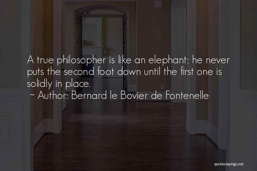 Bernard Le Bovier De Fontenelle Quotes: A True Philosopher Is Like An Elephant; He Never Puts The Second Foot Down Until The First One Is Solidly