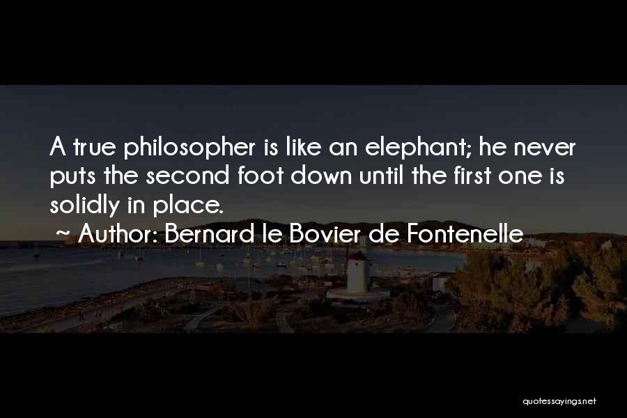 Bernard Le Bovier De Fontenelle Quotes: A True Philosopher Is Like An Elephant; He Never Puts The Second Foot Down Until The First One Is Solidly