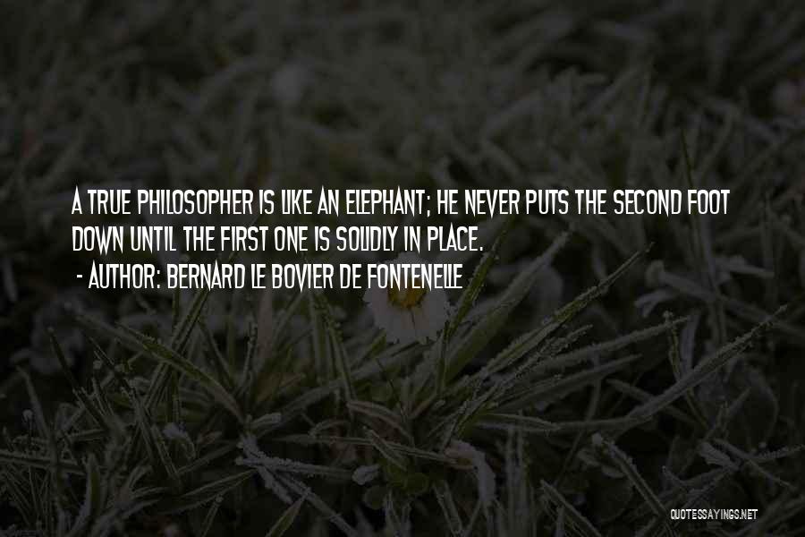 Bernard Le Bovier De Fontenelle Quotes: A True Philosopher Is Like An Elephant; He Never Puts The Second Foot Down Until The First One Is Solidly
