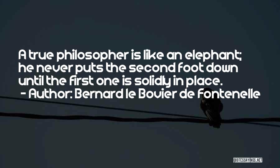 Bernard Le Bovier De Fontenelle Quotes: A True Philosopher Is Like An Elephant; He Never Puts The Second Foot Down Until The First One Is Solidly