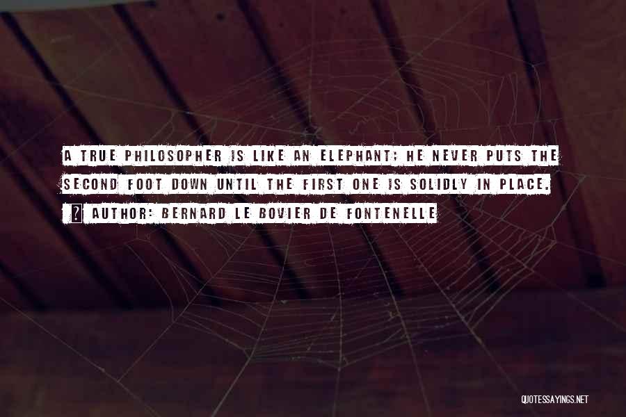 Bernard Le Bovier De Fontenelle Quotes: A True Philosopher Is Like An Elephant; He Never Puts The Second Foot Down Until The First One Is Solidly