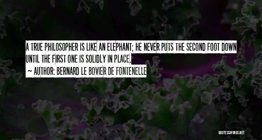Bernard Le Bovier De Fontenelle Quotes: A True Philosopher Is Like An Elephant; He Never Puts The Second Foot Down Until The First One Is Solidly