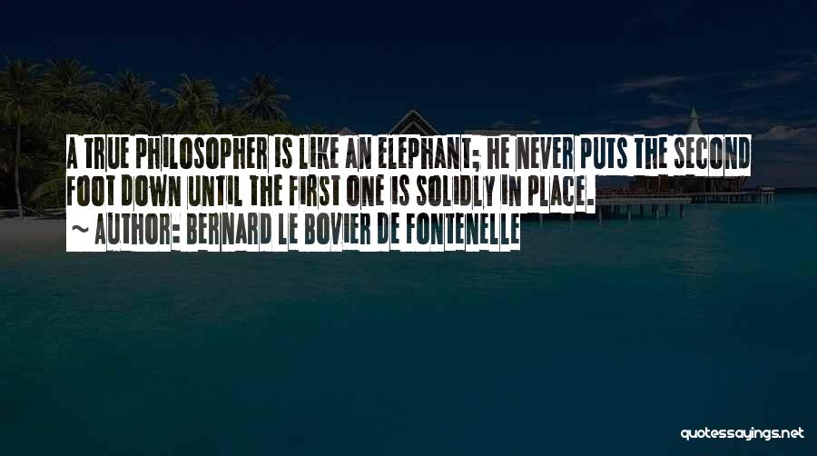 Bernard Le Bovier De Fontenelle Quotes: A True Philosopher Is Like An Elephant; He Never Puts The Second Foot Down Until The First One Is Solidly