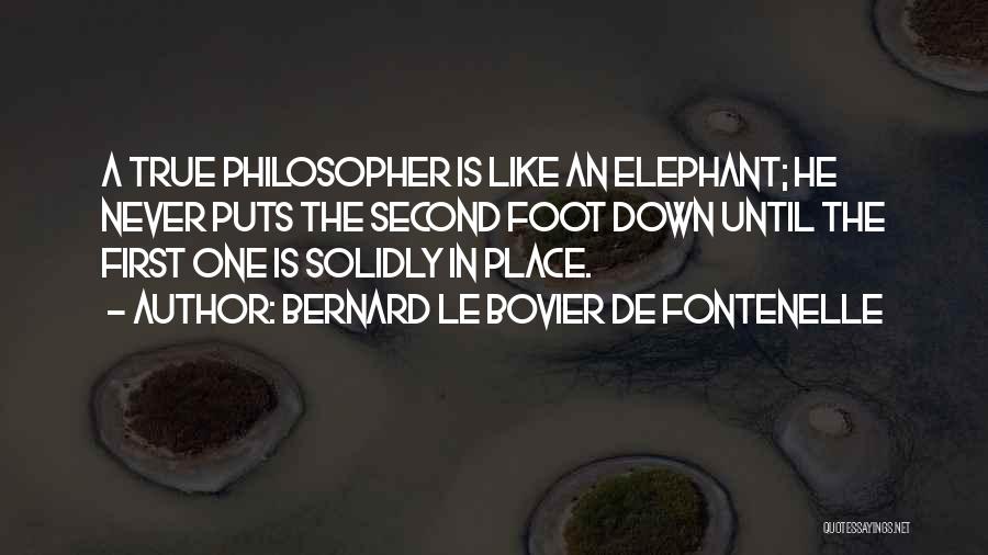 Bernard Le Bovier De Fontenelle Quotes: A True Philosopher Is Like An Elephant; He Never Puts The Second Foot Down Until The First One Is Solidly