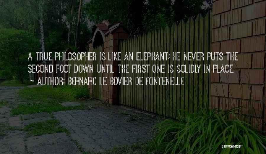 Bernard Le Bovier De Fontenelle Quotes: A True Philosopher Is Like An Elephant; He Never Puts The Second Foot Down Until The First One Is Solidly