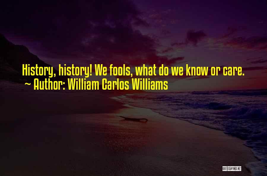 William Carlos Williams Quotes: History, History! We Fools, What Do We Know Or Care.