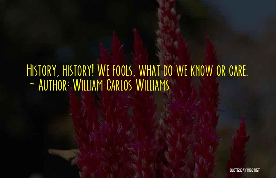 William Carlos Williams Quotes: History, History! We Fools, What Do We Know Or Care.