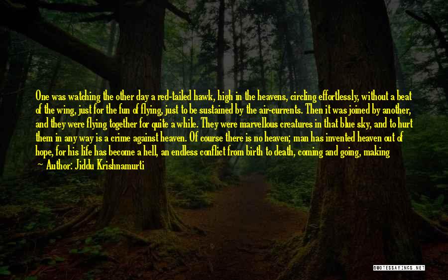 Jiddu Krishnamurti Quotes: One Was Watching The Other Day A Red-tailed Hawk, High In The Heavens, Circling Effortlessly, Without A Beat Of The