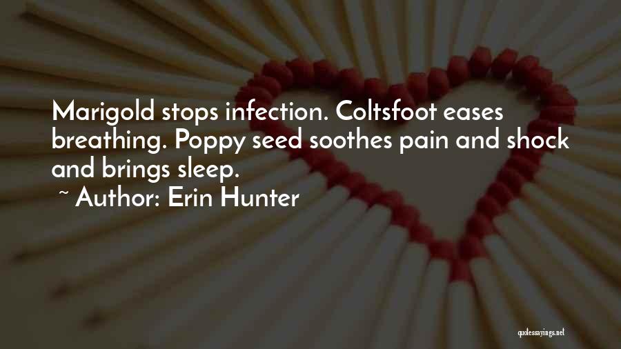 Erin Hunter Quotes: Marigold Stops Infection. Coltsfoot Eases Breathing. Poppy Seed Soothes Pain And Shock And Brings Sleep.