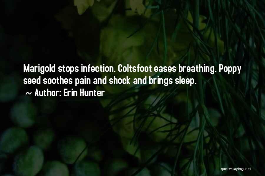 Erin Hunter Quotes: Marigold Stops Infection. Coltsfoot Eases Breathing. Poppy Seed Soothes Pain And Shock And Brings Sleep.