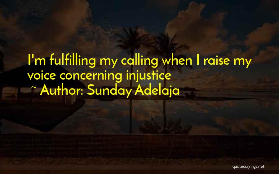 Sunday Adelaja Quotes: I'm Fulfilling My Calling When I Raise My Voice Concerning Injustice
