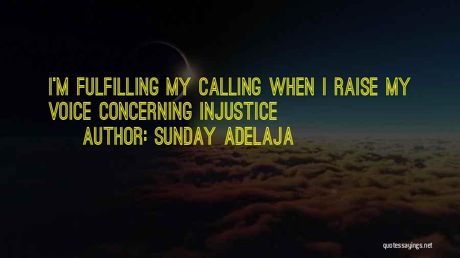 Sunday Adelaja Quotes: I'm Fulfilling My Calling When I Raise My Voice Concerning Injustice