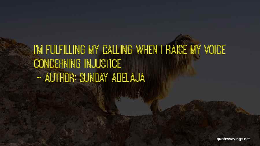 Sunday Adelaja Quotes: I'm Fulfilling My Calling When I Raise My Voice Concerning Injustice