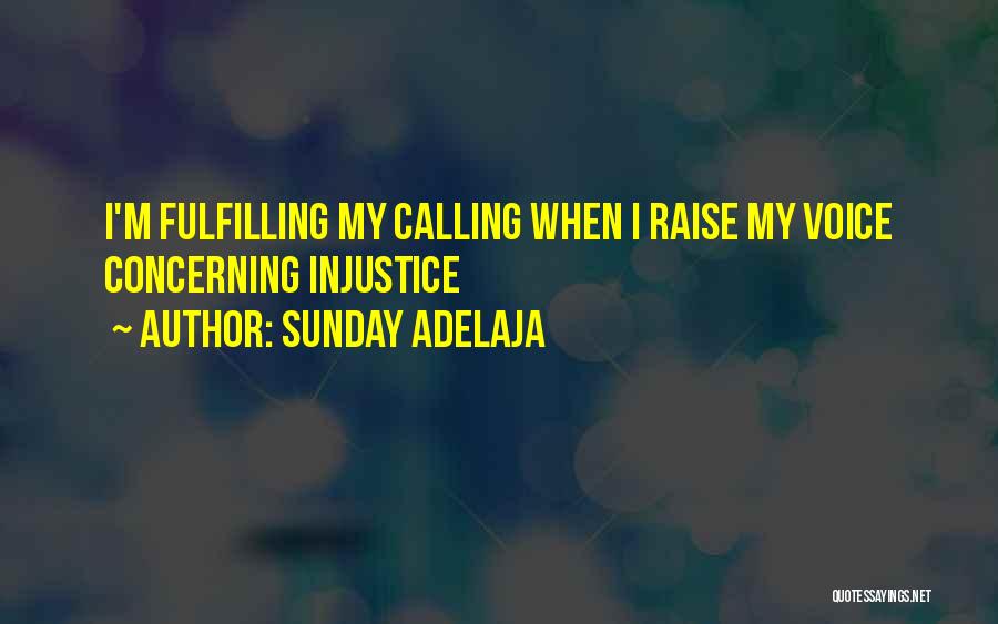 Sunday Adelaja Quotes: I'm Fulfilling My Calling When I Raise My Voice Concerning Injustice