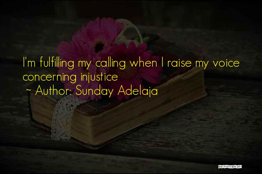 Sunday Adelaja Quotes: I'm Fulfilling My Calling When I Raise My Voice Concerning Injustice