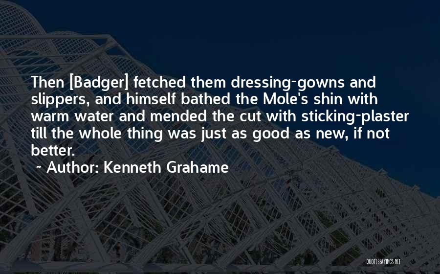 Kenneth Grahame Quotes: Then [badger] Fetched Them Dressing-gowns And Slippers, And Himself Bathed The Mole's Shin With Warm Water And Mended The Cut