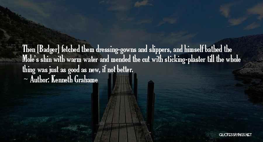 Kenneth Grahame Quotes: Then [badger] Fetched Them Dressing-gowns And Slippers, And Himself Bathed The Mole's Shin With Warm Water And Mended The Cut