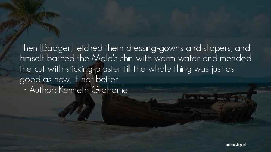Kenneth Grahame Quotes: Then [badger] Fetched Them Dressing-gowns And Slippers, And Himself Bathed The Mole's Shin With Warm Water And Mended The Cut
