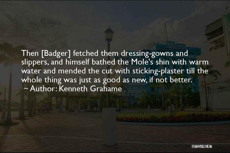 Kenneth Grahame Quotes: Then [badger] Fetched Them Dressing-gowns And Slippers, And Himself Bathed The Mole's Shin With Warm Water And Mended The Cut