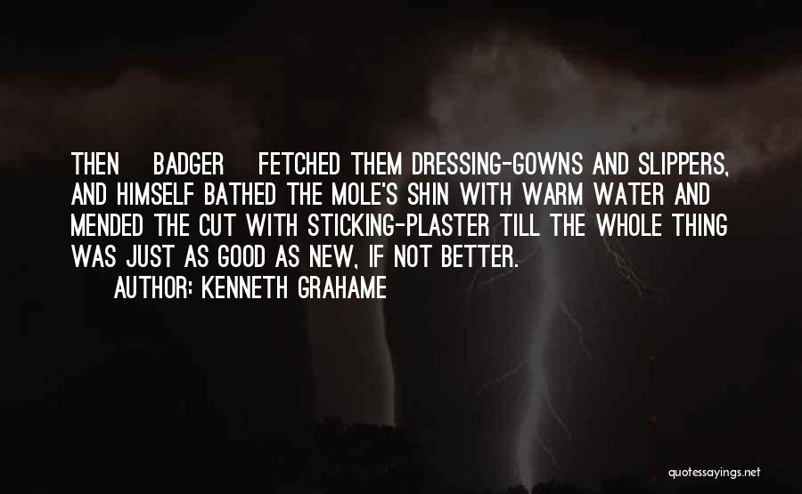 Kenneth Grahame Quotes: Then [badger] Fetched Them Dressing-gowns And Slippers, And Himself Bathed The Mole's Shin With Warm Water And Mended The Cut
