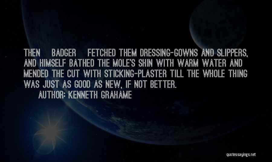 Kenneth Grahame Quotes: Then [badger] Fetched Them Dressing-gowns And Slippers, And Himself Bathed The Mole's Shin With Warm Water And Mended The Cut