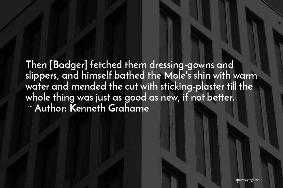 Kenneth Grahame Quotes: Then [badger] Fetched Them Dressing-gowns And Slippers, And Himself Bathed The Mole's Shin With Warm Water And Mended The Cut