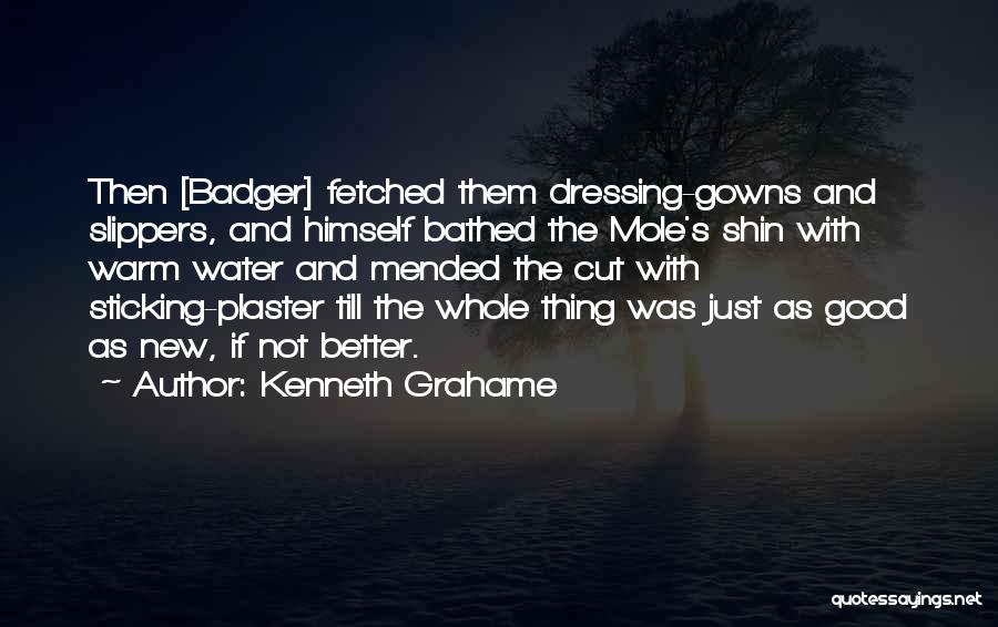 Kenneth Grahame Quotes: Then [badger] Fetched Them Dressing-gowns And Slippers, And Himself Bathed The Mole's Shin With Warm Water And Mended The Cut