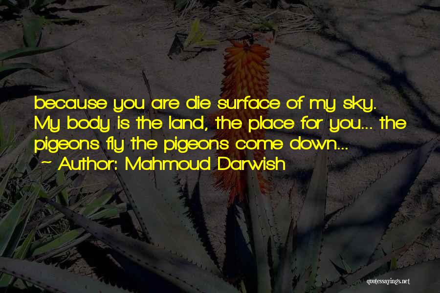 Mahmoud Darwish Quotes: Because You Are Die Surface Of My Sky. My Body Is The Land, The Place For You... The Pigeons Fly