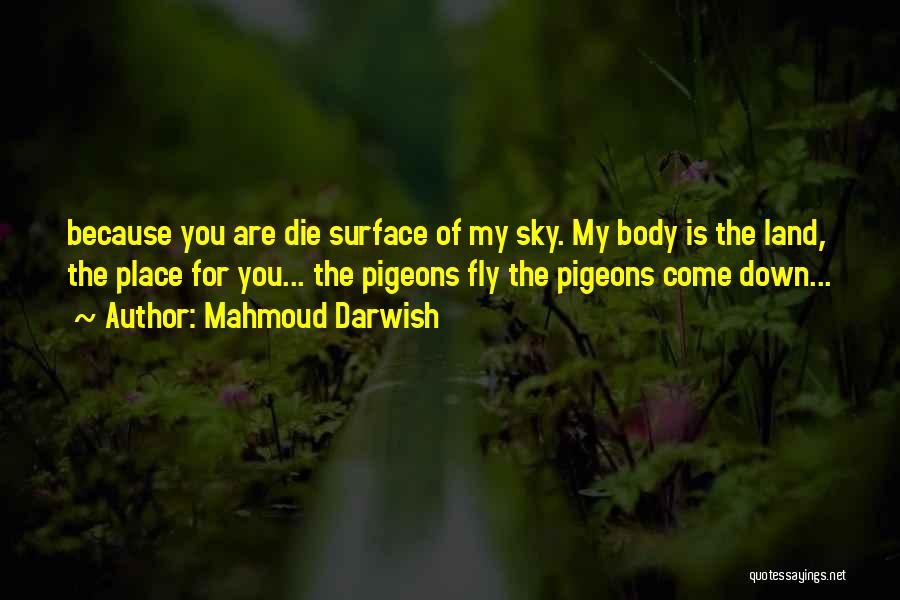 Mahmoud Darwish Quotes: Because You Are Die Surface Of My Sky. My Body Is The Land, The Place For You... The Pigeons Fly