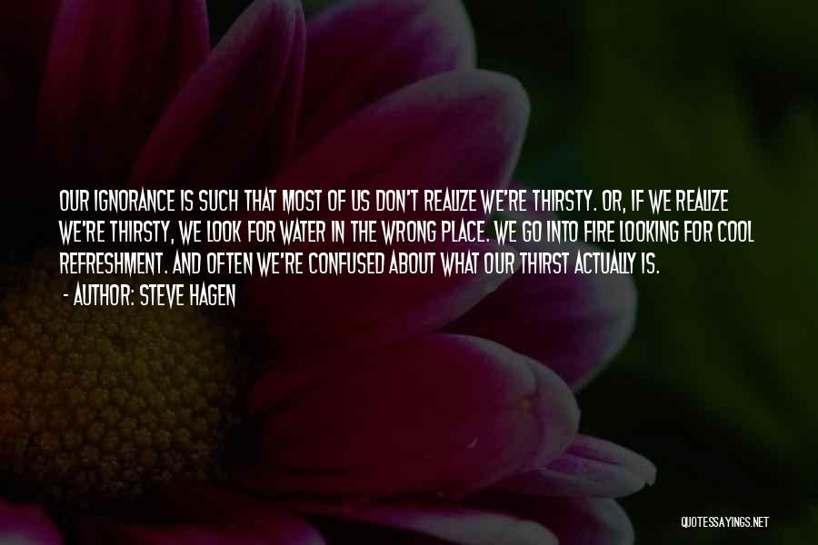 Steve Hagen Quotes: Our Ignorance Is Such That Most Of Us Don't Realize We're Thirsty. Or, If We Realize We're Thirsty, We Look