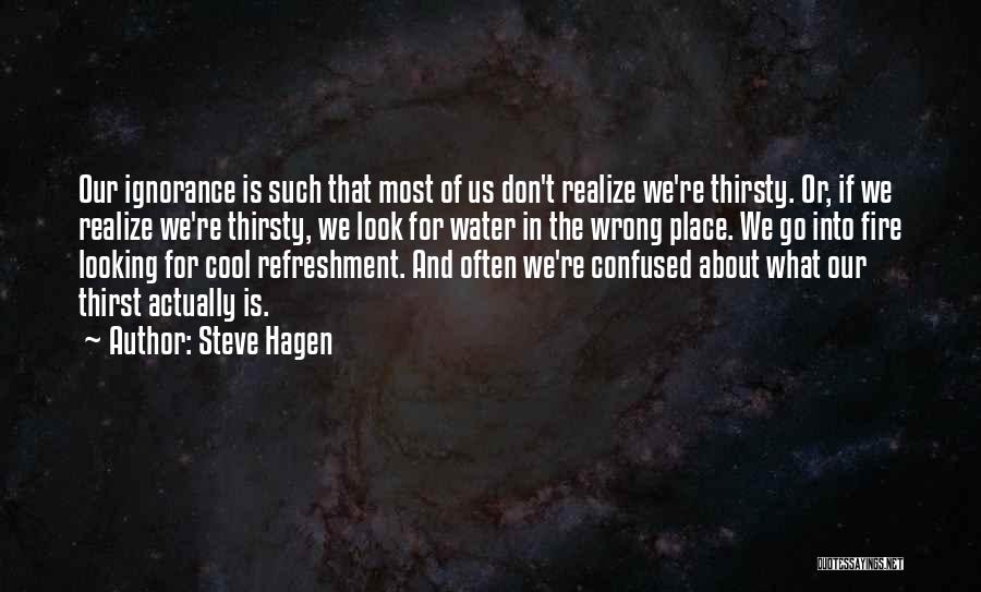 Steve Hagen Quotes: Our Ignorance Is Such That Most Of Us Don't Realize We're Thirsty. Or, If We Realize We're Thirsty, We Look