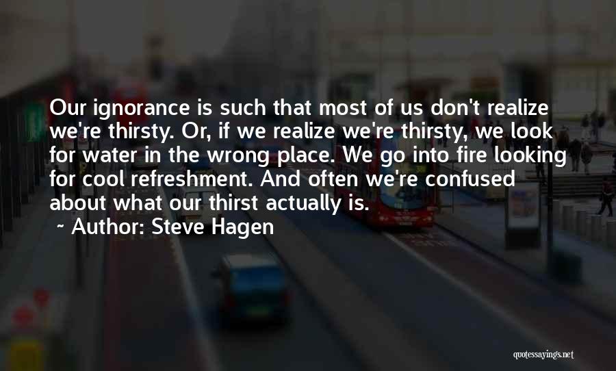Steve Hagen Quotes: Our Ignorance Is Such That Most Of Us Don't Realize We're Thirsty. Or, If We Realize We're Thirsty, We Look