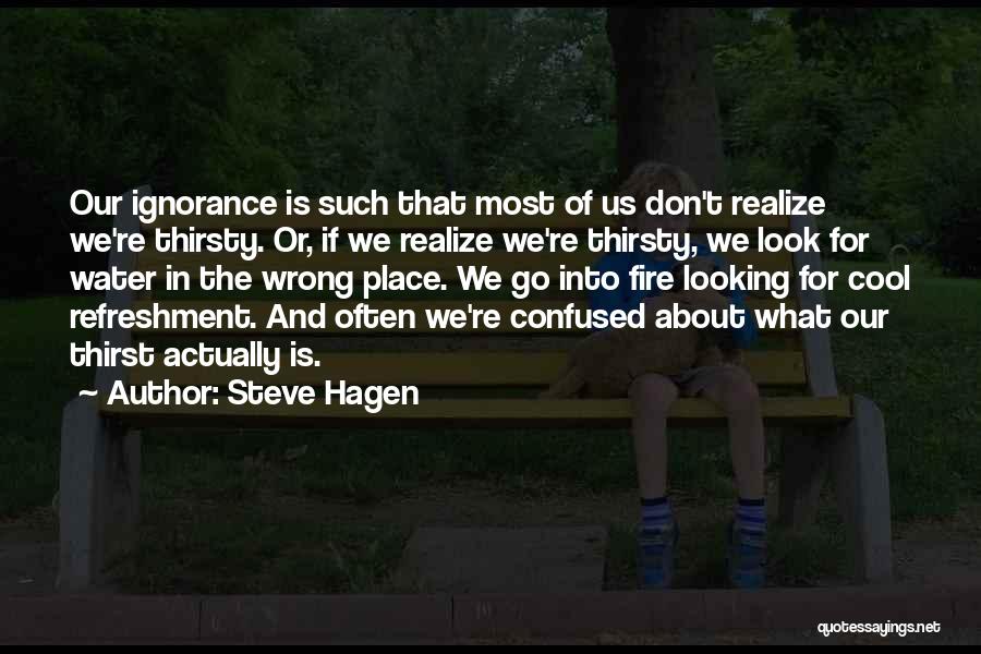 Steve Hagen Quotes: Our Ignorance Is Such That Most Of Us Don't Realize We're Thirsty. Or, If We Realize We're Thirsty, We Look