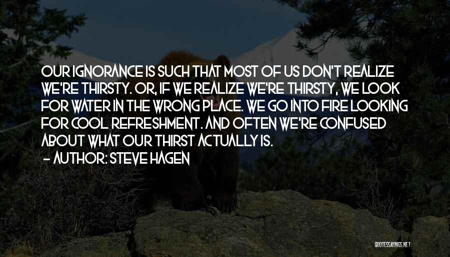 Steve Hagen Quotes: Our Ignorance Is Such That Most Of Us Don't Realize We're Thirsty. Or, If We Realize We're Thirsty, We Look