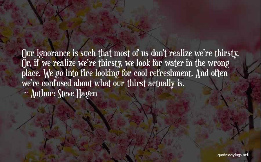 Steve Hagen Quotes: Our Ignorance Is Such That Most Of Us Don't Realize We're Thirsty. Or, If We Realize We're Thirsty, We Look