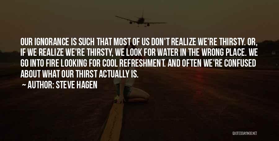 Steve Hagen Quotes: Our Ignorance Is Such That Most Of Us Don't Realize We're Thirsty. Or, If We Realize We're Thirsty, We Look