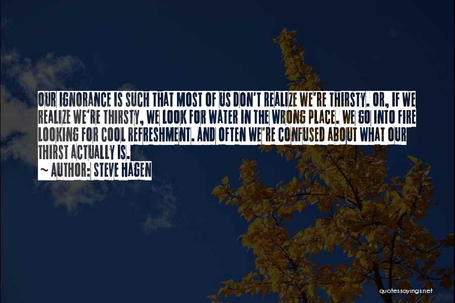 Steve Hagen Quotes: Our Ignorance Is Such That Most Of Us Don't Realize We're Thirsty. Or, If We Realize We're Thirsty, We Look