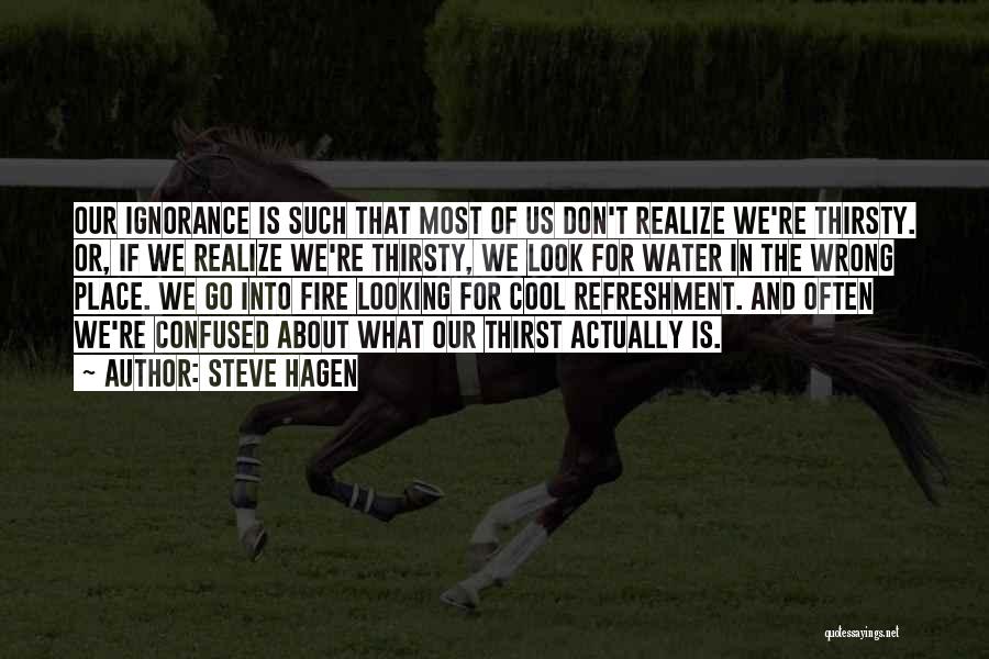 Steve Hagen Quotes: Our Ignorance Is Such That Most Of Us Don't Realize We're Thirsty. Or, If We Realize We're Thirsty, We Look