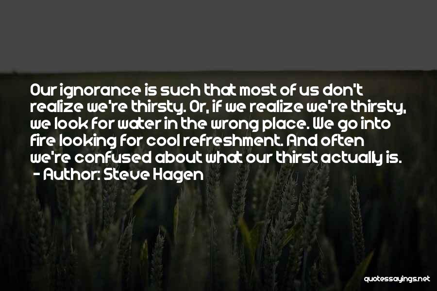 Steve Hagen Quotes: Our Ignorance Is Such That Most Of Us Don't Realize We're Thirsty. Or, If We Realize We're Thirsty, We Look