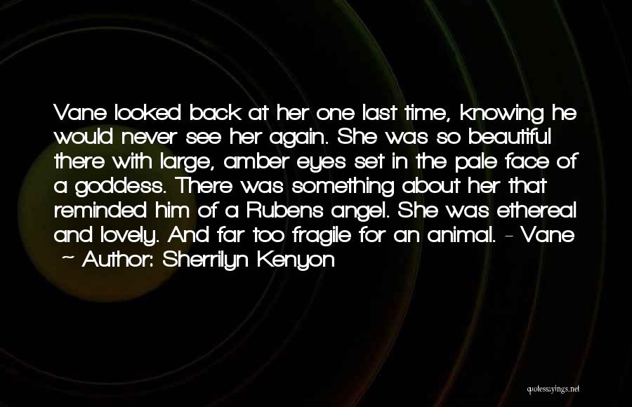 Sherrilyn Kenyon Quotes: Vane Looked Back At Her One Last Time, Knowing He Would Never See Her Again. She Was So Beautiful There
